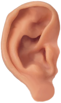 ear l