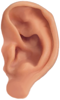 ear r