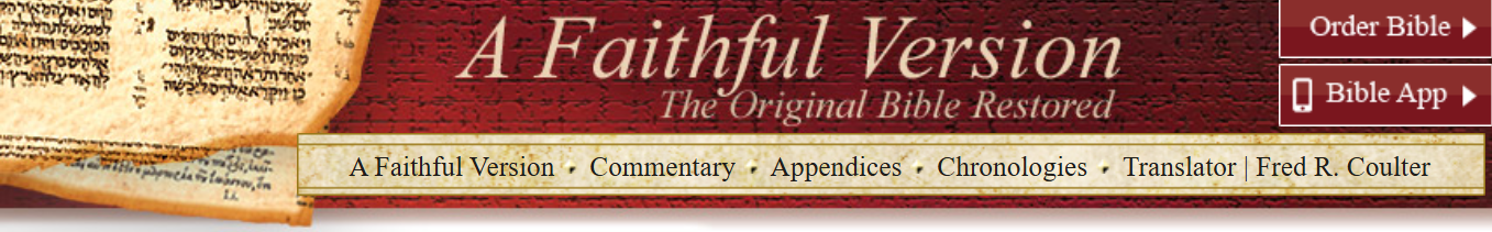 Open John 1 (AFV)